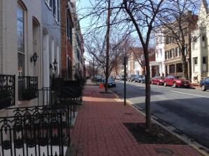 photo 1 (7) - Copy - Copy - Copy