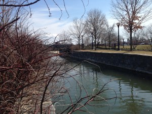 photo 2 (8) - Copy - Copy - Copy