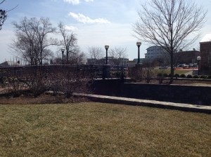 photo 3 (9) - Copy - Copy